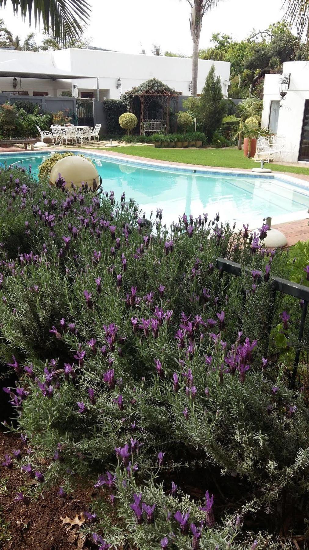 Cape Pillars Boutique Hotel Durbanville Extérieur photo